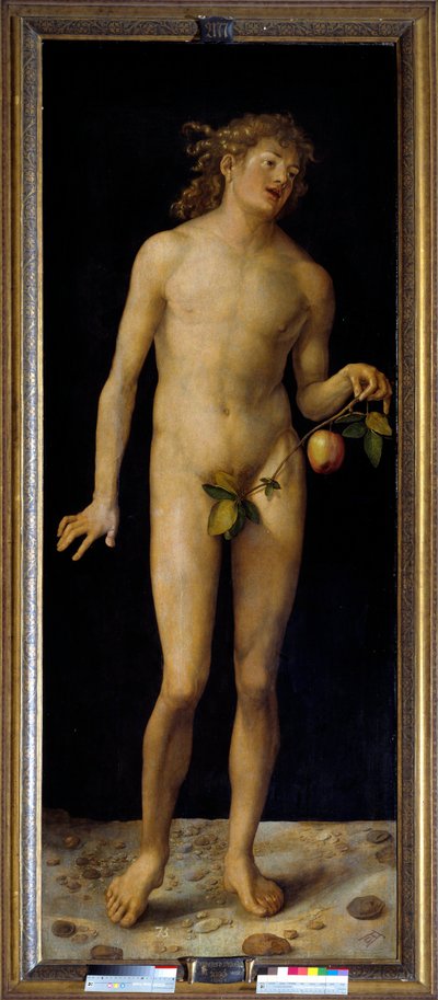 Adam - Albrecht Dürer