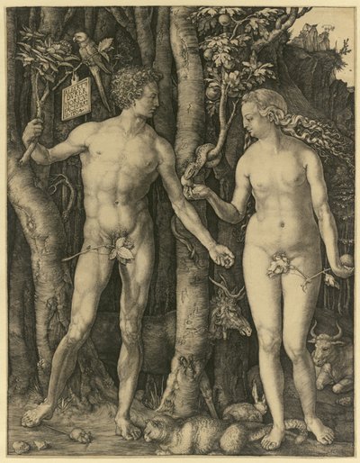 Adam et Ève - Albrecht Dürer