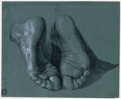 Étude de pieds - Dessin de Albrecht Dürer - Albrecht Dürer