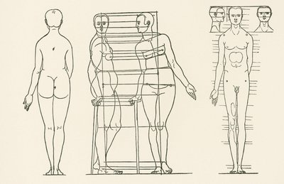 Illustration du Traité des principes de proportion d