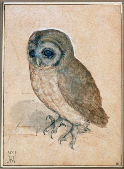 Kaeuzchen - Le petit hibou - Albrecht Dürer or Duerer