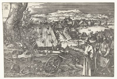 Paysage avec canon - Albrecht Dürer or Duerer