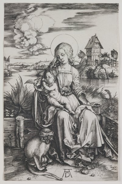 Madone au singe, vers 1498 (gravure) - Albrecht Dürer or Duerer