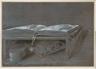 Livre ouvert (dessin au pinceau sur papier brun) - Albrecht Dürer or Duerer