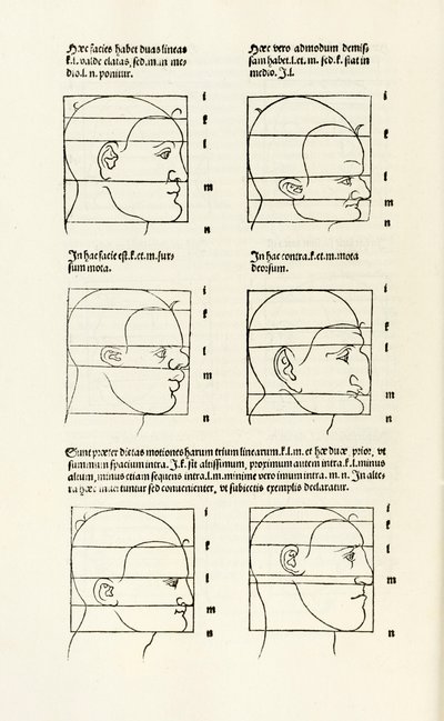 Proportions de la tête humaine de 
