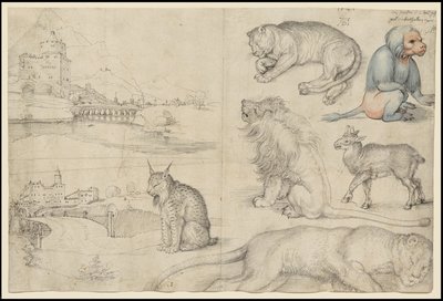 Croquis d