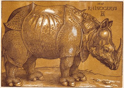 Le rhinocéros - Albrecht Dürer or Duerer