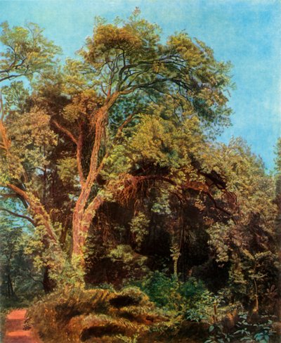 Arbre dans le parc, milieu du 19e siècle, 1965 - Aleksandr Ivanov