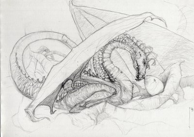 Créature fantastique : un dragon protégeant son œuf. - Alessandro Lonati