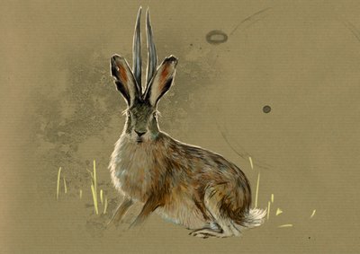 Monstres et créatures fantastiques, cryptozoologie : représentation d