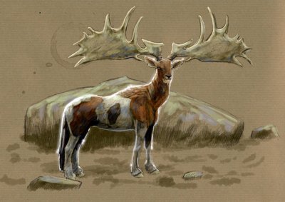 Monstres et créatures fantastiques, cryptozoologie : représentation d