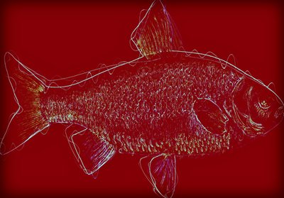 Poisson V, 2020 - Alex Caminker