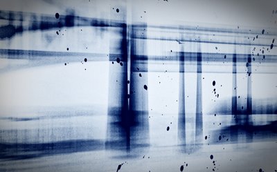 Neige (radiographie), 2019 - Alex Caminker