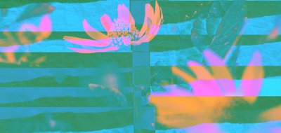 Toujours et partout, 2019 - Alex Caminker
