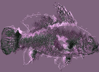 Poisson III, 2020 - Alex Caminker
