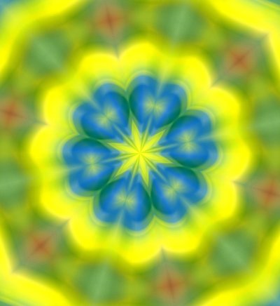 fleurs #62 - Alex Caminker