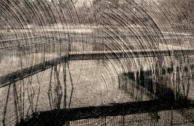 invisible, 2019 - Alex Caminker