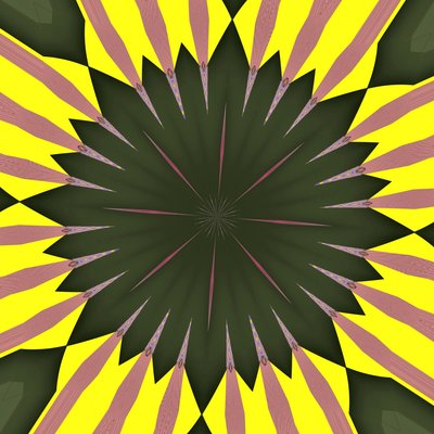 Tournesol, 2019 - Alex Caminker