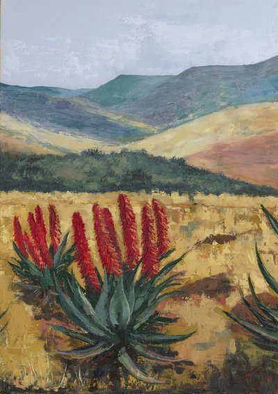 Aloe rouge à flanc de colline - Alex Cornell