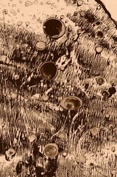 Oxygène - Alexander Adiels