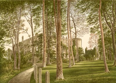 Château d
