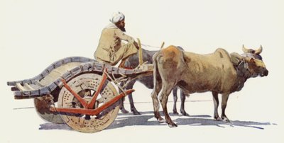 Une Charrette à Bœufs, Jodhpur - Alexander Henry Hallam Murray