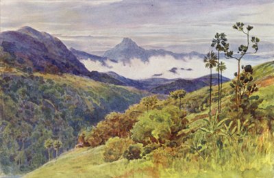 Brumes matinales dans la vallée du Mahawelli Gangha (lithographie en couleur) - Alexander Henry Hallam Murray
