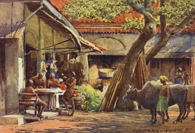 Le Marché, Colombo - Alexander Henry Hallam Murray