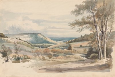 Boxhill depuis West Humble Lane - Alexander Monro