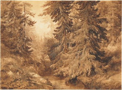 Une ancienne forêt de pins avec un ruisseau de montagne - Alexandre Calame