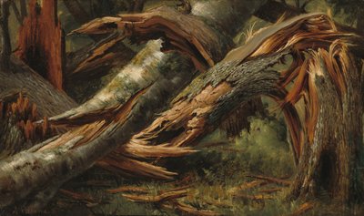 Arbre tombé, 1839-1845 - Alexandre Calame
