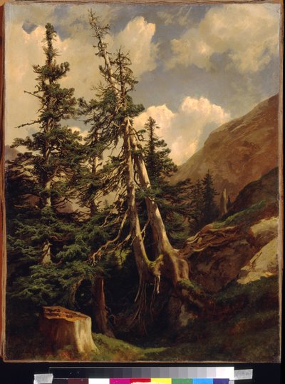 Forêts dans les montagnes par Alexandre Calame (1810-1864) - Alexandre Calame