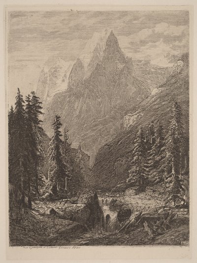 Prairie de montagne - Alexandre Calame