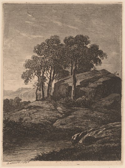 Arbres près d