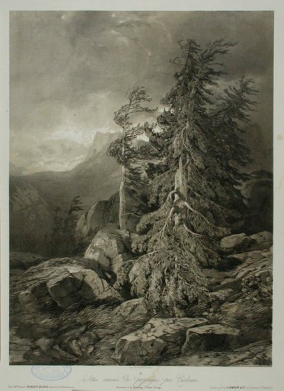 Sans titre - Alexandre Calame