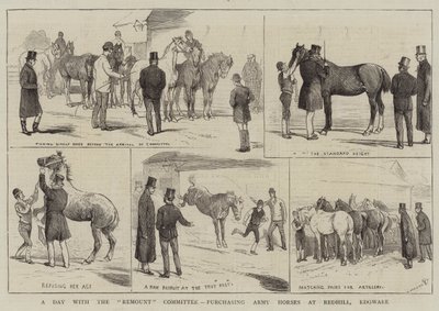 Une journée avec le comité de remonte, achat de chevaux de l