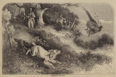 Chasse au faisan - Alfred Courbould
