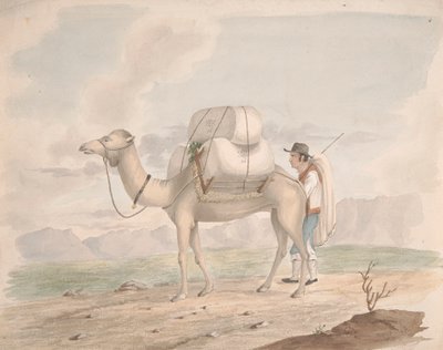 Chameau chargé - Alfred Diston