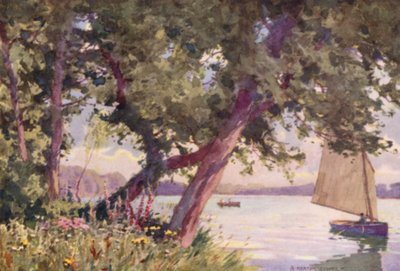 Lac de Fritton, Suffolk, Un matin d