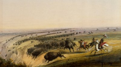 Chasse au buffle - Alfred Jacob Miller