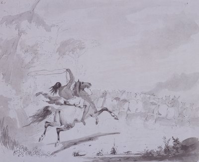 Lancer le lasso, c.1837 (plume et encre avec lavis gris sur carton gris) - Alfred Jacob Miller