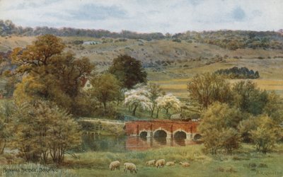 Pont de Boxhill, Dorking - Alfred Robert Quinton