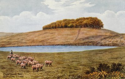 Chanctonbury Ring et Dew Pond, S Downs - Alfred Robert Quinton
