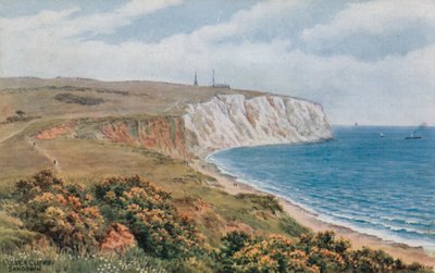 Falaises de Culver, Sandown - Alfred Robert Quinton