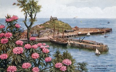 Colline et jetée de la lanterne, Ilfracombe, (Temps des rhododendrons) - Alfred Robert Quinton