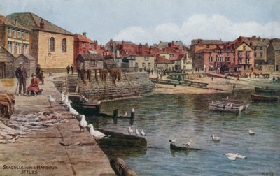 Mouettes dans le port, St Ives, Cornouailles - Alfred Robert Quinton