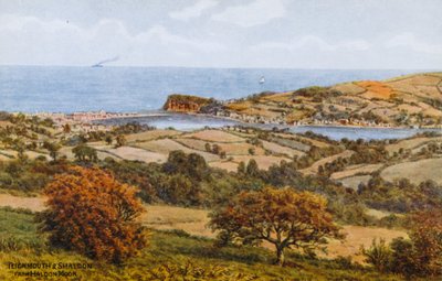 Teignmouth et Shaldon, depuis Haldon Moor - Alfred Robert Quinton
