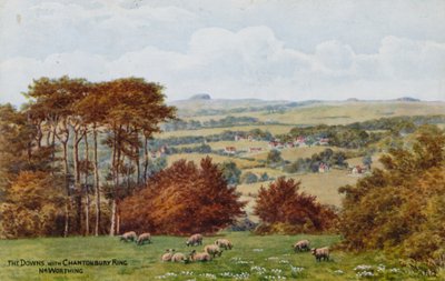 Les Downs avec Chantonbury Ring, près de Worthing - Alfred Robert Quinton