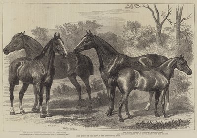 Chevaux primés au salon de l