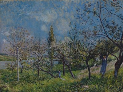 Le verger au printemps - Alfred Sisley